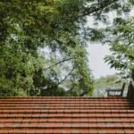 a red tiled roof with trees in the background